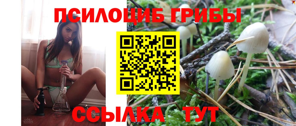 Галлюциногенные грибы MAGIC MUSHROOMS  Вход с VPN  купить закладку  Псилоцибиновые грибы ЛСД  Урай 